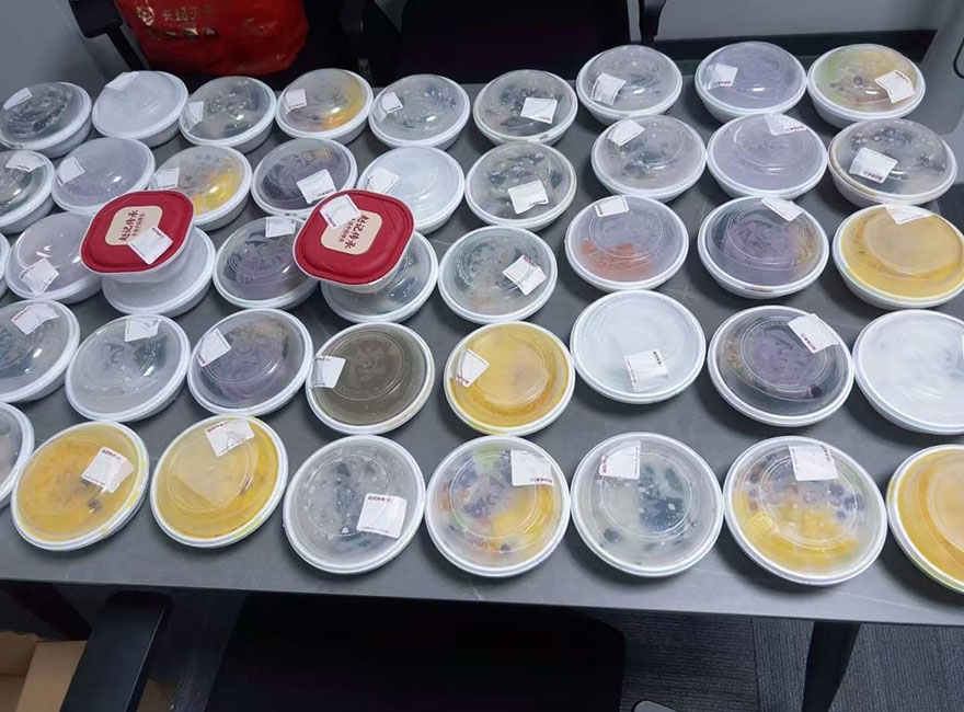 图片2 副本.jpg